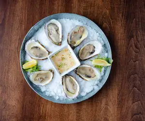 oysters on the half shell